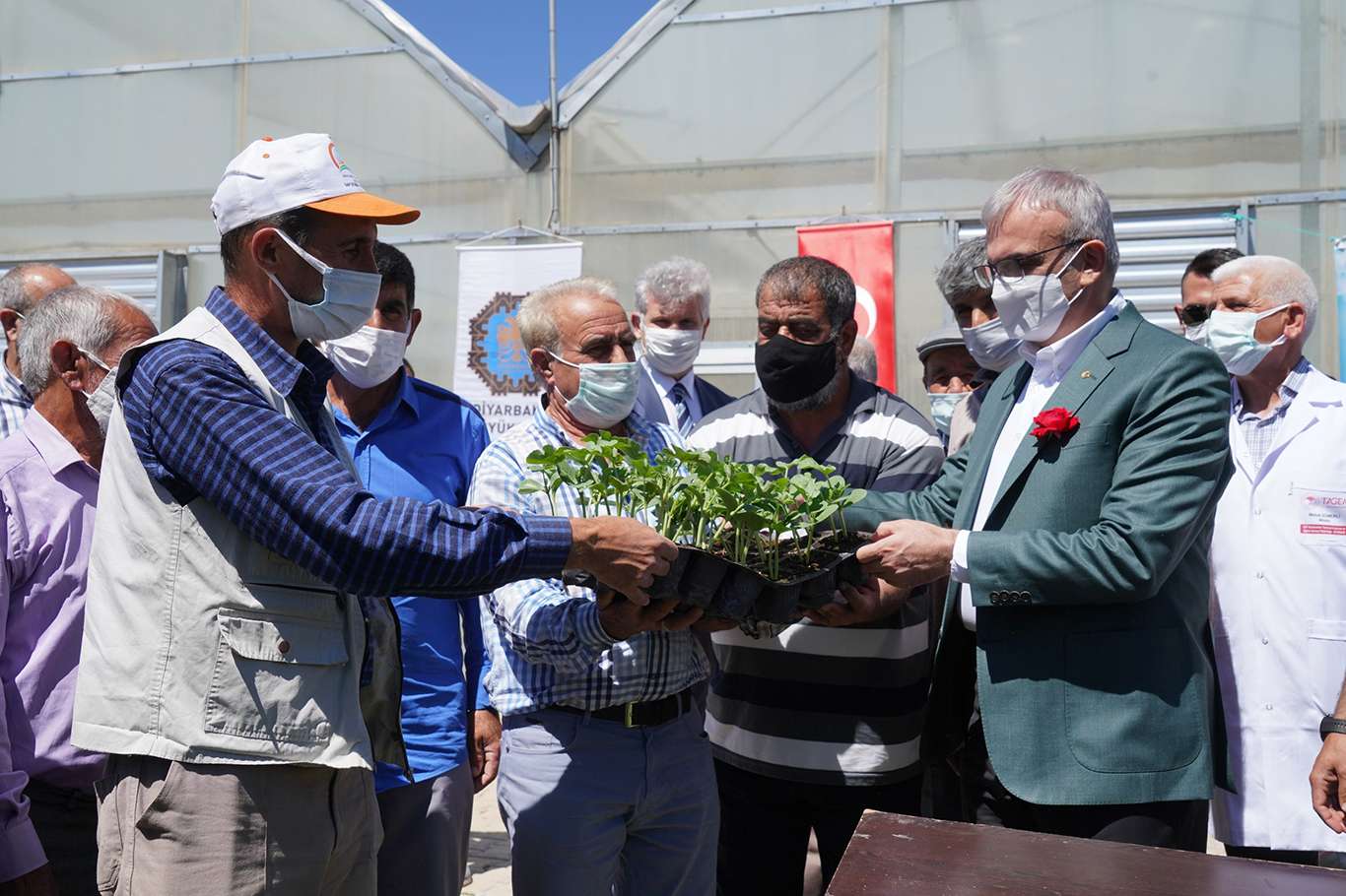 Üreticilere 5 bin Diyarbakır Karpuzu fidesi dağıtıldı Üreticilere 5 bin Diyarbakır Karpuzu fidesi dağıtıldı